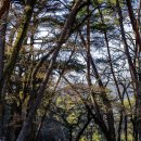 영천 치일리 인종태실 | 영천 팔공산 은해사