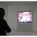 단종역사관 이미지