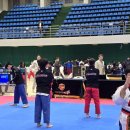 열린태권도장 | 일루스터태권도장 품새 대회 후기! 🥋🏆
