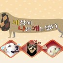 제임스짐JS 이미지