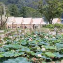 토끼게임장 이미지