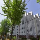 하단동1103 이미지