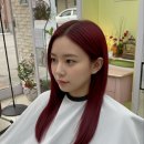 헤어두비취 이미지