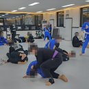 주짓수 | 헬스장 대신 찾은 재미있는 운동, 천안주짓수 팀레드비 우리주짓수 후기