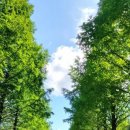 초록세탁 이미지