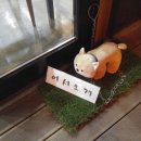 이사부중화요리 - 용인시 처인구 교동로10번길 6 | 이사부중화요리