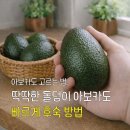 돌덩이마트