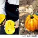 내촌유통 이미지
