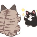 모터비전센터 이미지