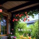 콜라텍 이미지