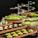 샤인트래블 이미지