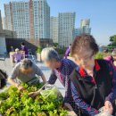 초록요양원 이미지