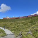 37번 | 스위스 여행 융프라우 하이킹 코스 추천_37번 하이킹 코스 후기 (초보차 추천)