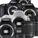 캐논 5D Mark4 오막포 , 5D Mark3 오막삼 ,니콘 d850, d810, d750, 렌즈등 구입합니다. 이미지