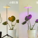 [솔직 리뷰] 쿠팡에서 구매한 루아즈 LED 우산 식물 생장등 사용 후기 ✨
