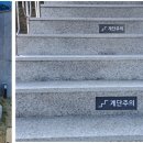 라포레이팝 이미지