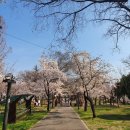 경대교 주변 이미지