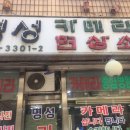 조아칼라현상소 | [청주]청주필름카메라 현상스캔