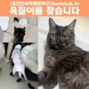 육칠이 이미지