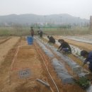 하수농장 이미지