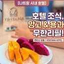 망고호텔 | 나트랑 벤타나 호텔 후기 가성비 조식 망고 침대2개 패밀리 발코니룸