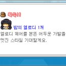 메이플헤어 이미지
