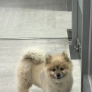 먹:다 이미지