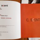 씨센트(C-SCENT) 티스토리