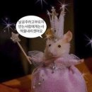이* - 해남군 | 이*
