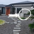 달리야드 이미지