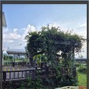 강아지 보호센터 이미지