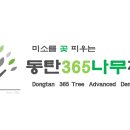 동탄나무치과의원 이미지