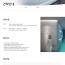 용암수지 이미지