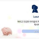 대박솔루션 이미지