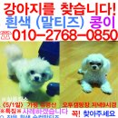 콩이 이미지