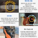 바이오슬립센터 | 입벌림방지밴드 코골이밴드 수면밴드 추천 바이오슬립밴드