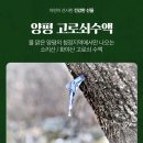화야산작목반