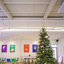 하이도나 이미지