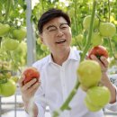 보성군청 이미지