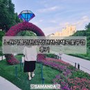 당현천산책로 | 노원 가볼만한 곳 당현천 산책로 꽃구경 후기