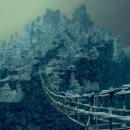 흑교위 2 이미지