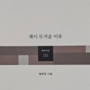 손글씨 캘리그래피(야간) 이미지