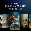 캐럿 지디넷코리아