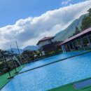 용정농원 이미지