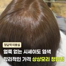 청담역미용실 프리미엄 시세이도 염색 저렴한 곳 상상모리 솔직후기