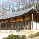 녹색농심인삼마을 이미지