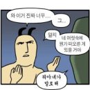 훼밀리아 | 250215 미세스그린애플 내한 공연 후기