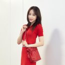 가방하니