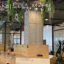 정관6로 이미지