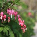 오대산서울 이미지